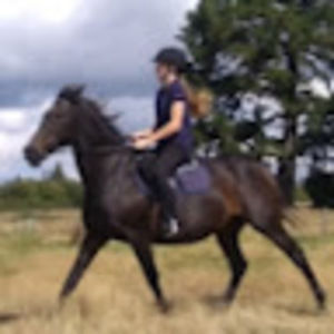 Meet your Posher, Amy-lee